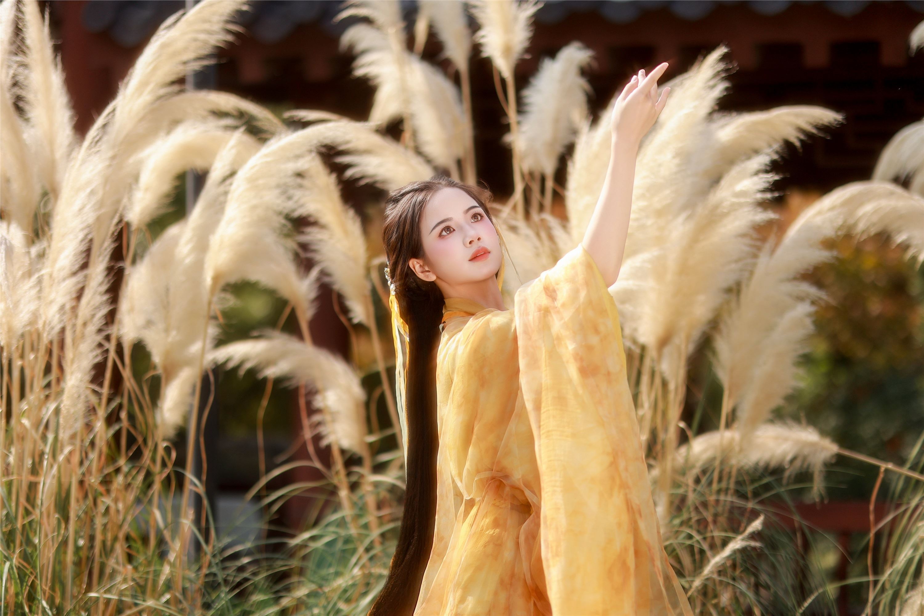 YITUYU艺图语 2025.01.26 黄衫女子 小杜同学